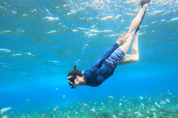 Luksus katamaran snorklingstur i Cozumel, Mexico, besøger Turtle Sanctuary og El Cielo, foto 8 | wizardtrip