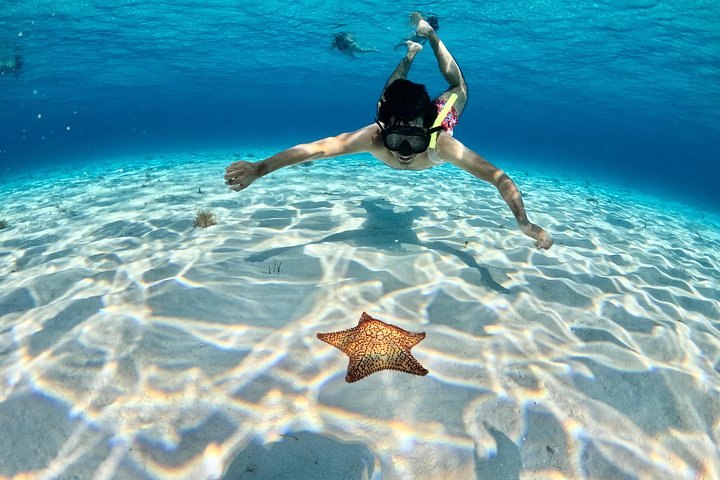 Luksus katamaran snorklingstur i Cozumel, Mexico, besøger Turtle Sanctuary og El Cielo, foto 9 | wizardtrip