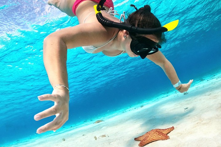 Luksus katamaran snorklingstur i Cozumel, Mexico, besøger Turtle Sanctuary og El Cielo, foto 10 | wizardtrip