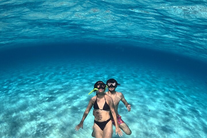 Luksus katamaran snorklingstur i Cozumel, Mexico, besøger Turtle Sanctuary og El Cielo, foto 11 | wizardtrip