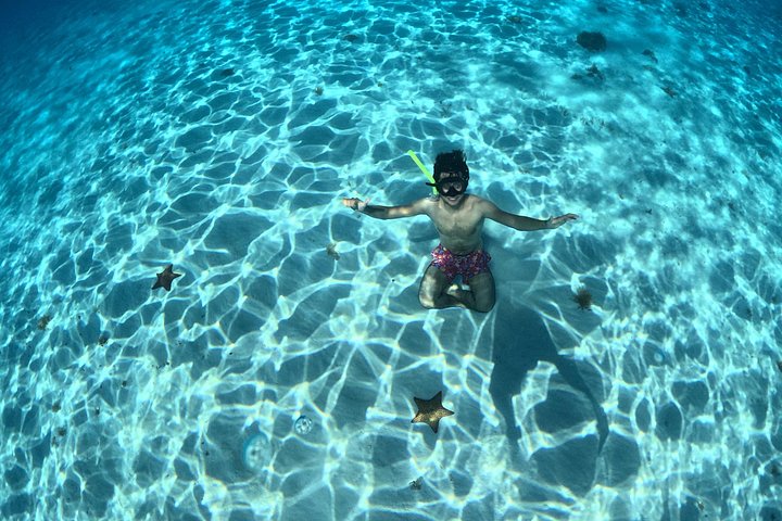 Luksus katamaran snorklingstur i Cozumel, Mexico, besøger Turtle Sanctuary og El Cielo, foto 12 | wizardtrip