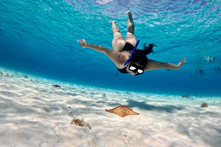 Luksus katamaran snorklingstur i Cozumel, Mexico, besøger Turtle Sanctuary og El Cielo, foto 13 | wizardtrip