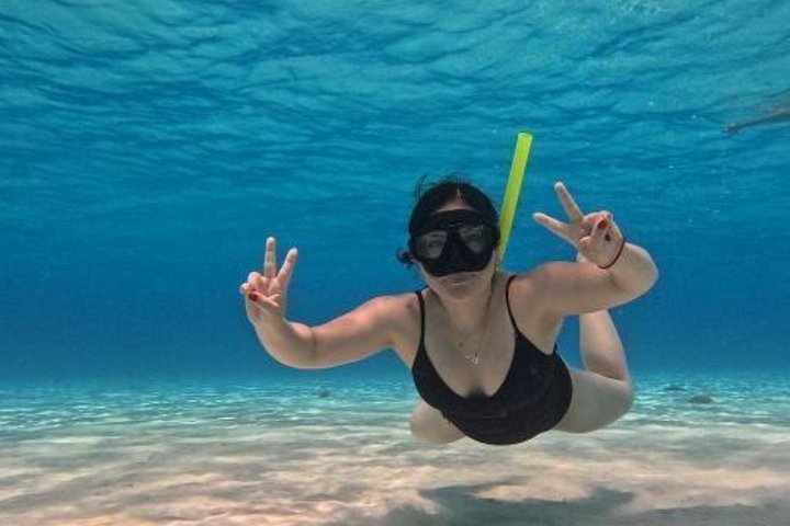 Luksus katamaran snorklingstur i Cozumel, Mexico, besøger Turtle Sanctuary og El Cielo, foto 14 | wizardtrip