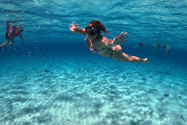 Luksus katamaran snorklingstur i Cozumel, Mexico, besøger Turtle Sanctuary og El Cielo, foto 15 | wizardtrip