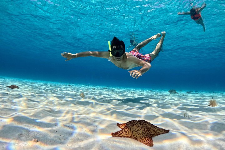 Luksus katamaran snorklingstur i Cozumel, Mexico, besøger Turtle Sanctuary og El Cielo, foto 16 | wizardtrip
