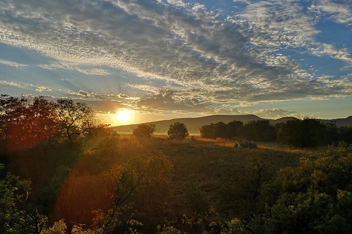 Sunrise hot air balloon safari over the Magalies River Valley near Hartbeespoort, South Africa, photo 6 | wizardtrip