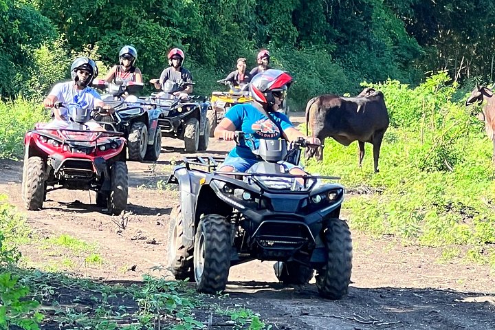 Utforska Cartagenas kustskönhet och kultur på en spännande ATV-tur, foto 22 | wizardtrip