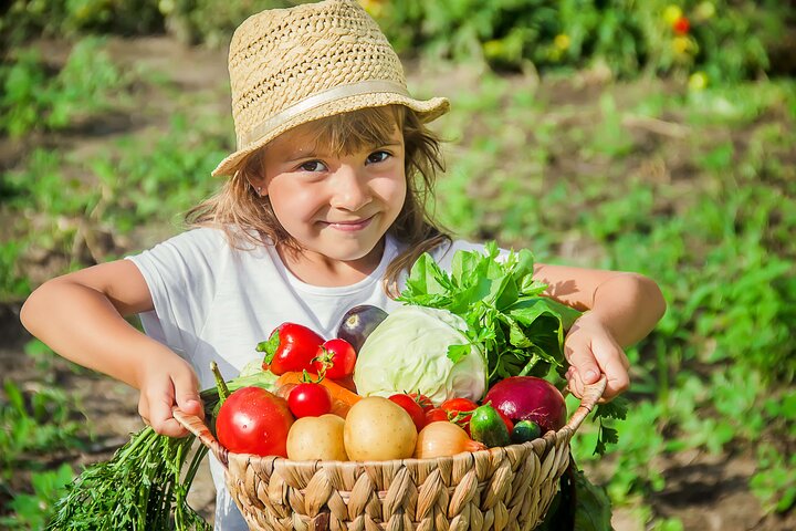 Cours de cuisine pratique et visite de ferme sur la côte amalfitaine | wizardtrip
