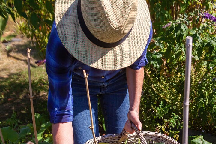 Praktische Italiaanse kookles en boerderijtour aan de Amalfikust, Italië, foto 11 | wizardtrip
