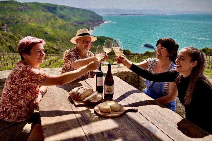 Private Lisbon Wine Tour - Setubal, Arrabida, 3 Wineries & Lunch | wizardtrip
