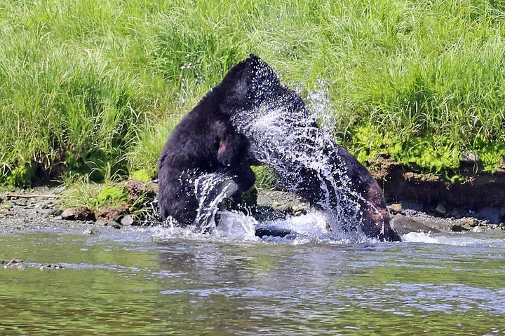 ケチカンのプライベートカスタムツアーで、地元の観光スポットや野生動物を巡ります、写真18 | wizardtrip