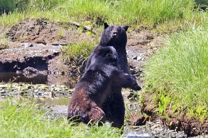 ケチカンのプライベートカスタムツアーで、地元の観光スポットや野生動物を巡ります、写真19 | wizardtrip