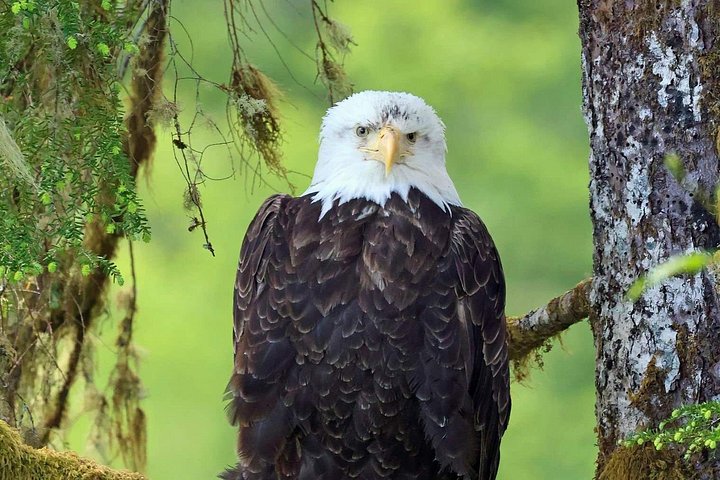 ケチカンのプライベートカスタムツアーで、地元の観光スポットや野生動物を巡ります、写真30 | wizardtrip