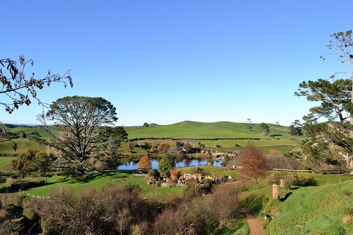 Experimenta la magia del Hobbiton Movie Set en un tour de un día desde Auckland, con Hobbit Holes y paisajes pintorescos, foto 6 | wizardtrip