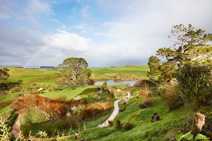 Experimenta la magia del Hobbiton Movie Set en un tour de un día desde Auckland, con Hobbit Holes y paisajes pintorescos, foto 14 | wizardtrip