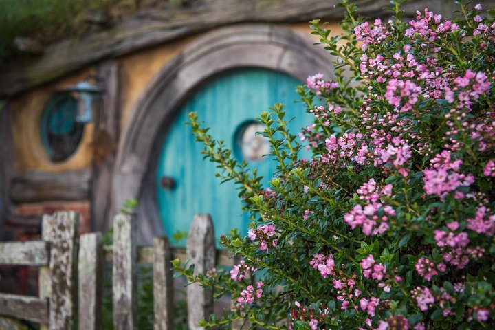 Hobbiton Movie Set & Waitomo Caves Small Group Tour from Auckland | wizardtrip