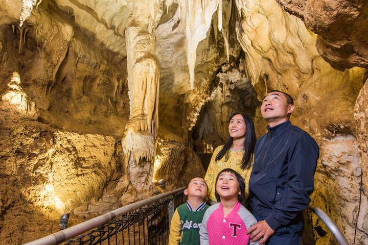 Kleingruppentour von Auckland zum Hobbiton Movie Set und den Waitomo Glowworm Caves, Foto 8 | wizardtrip