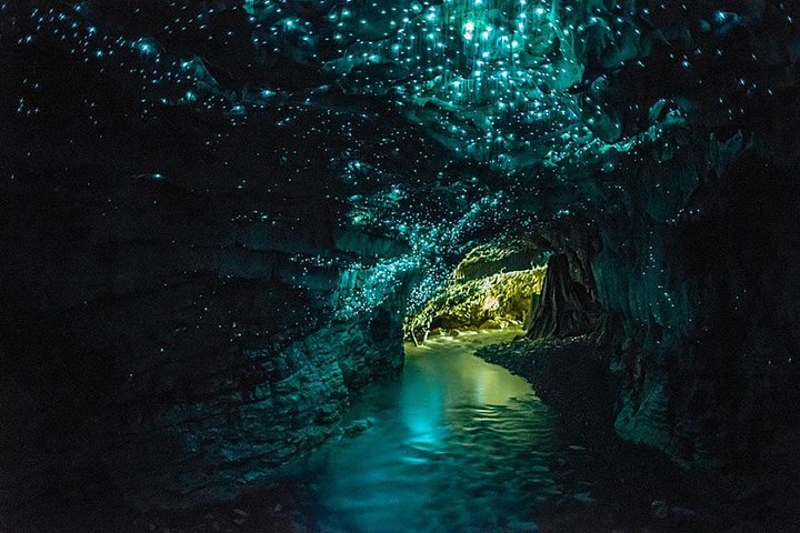 Kleingruppentour von Auckland zum Hobbiton Movie Set und den Waitomo Glowworm Caves, Foto 11 | wizardtrip