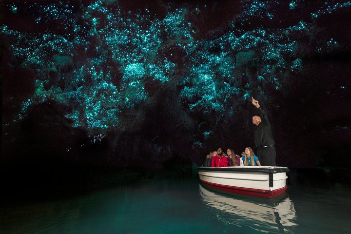 Kleingruppentour von Auckland zum Hobbiton Movie Set und den Waitomo Glowworm Caves, Foto 12 | wizardtrip