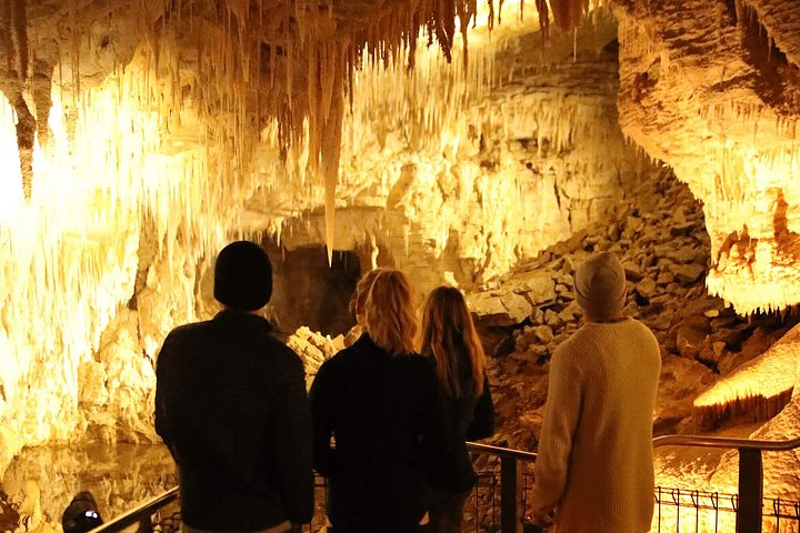 Kleingruppentour von Auckland zum Hobbiton Movie Set und den Waitomo Glowworm Caves, Foto 21 | wizardtrip
