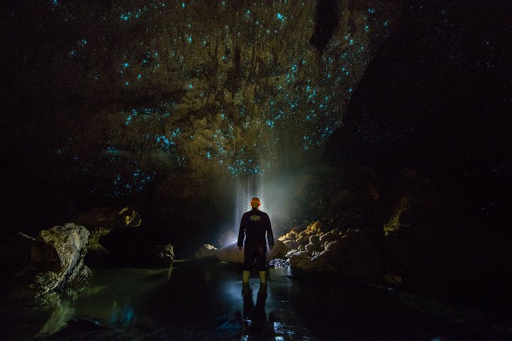 Kleingruppentour von Auckland zum Hobbiton Movie Set und den Waitomo Glowworm Caves, Foto 22 | wizardtrip