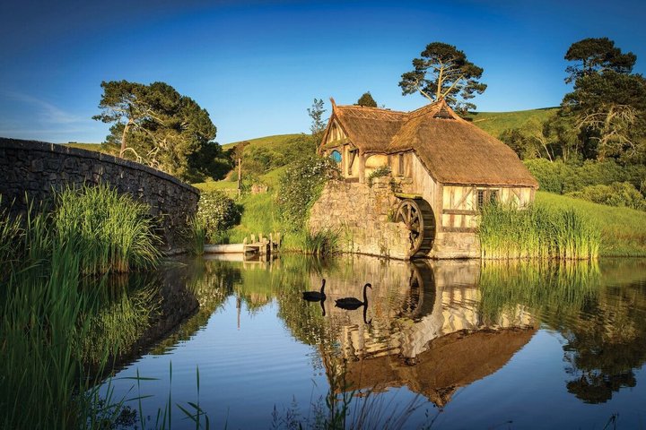 Kleingruppentour von Auckland zum Hobbiton Movie Set und den Waitomo Glowworm Caves, Foto 25 | wizardtrip