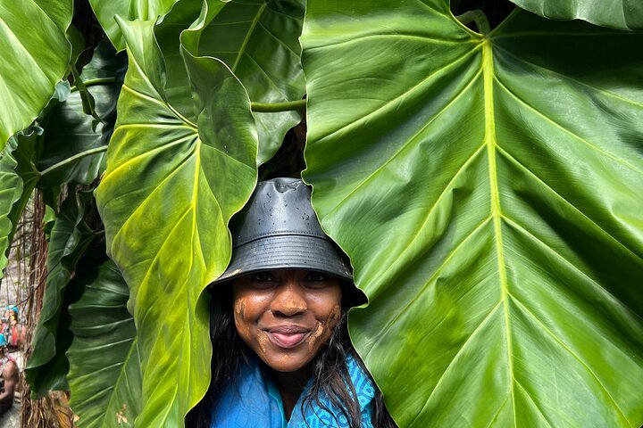 Opplev spennende vannsklier og fossefall i El Yunque-regnskogen, Puerto Rico, foto 40 | wizardtrip
