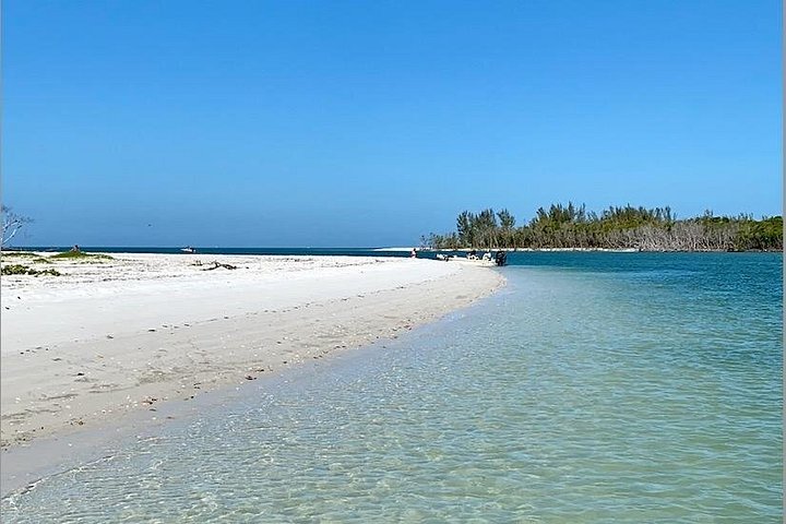フロリダ州10,000アイランズでのシェル＆ドルフィンウォッチングのためのプライベートボートツアー、写真19 | wizardtrip