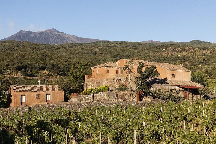 Private 6-Hour Tour of Three Etna Wineries with Food & Wine Tasting | wizardtrip