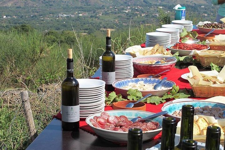 Privat vintur till vingårdar på Etna med provsmakningar och naturskön utsikt över Sicilien, foto 6 | wizardtrip