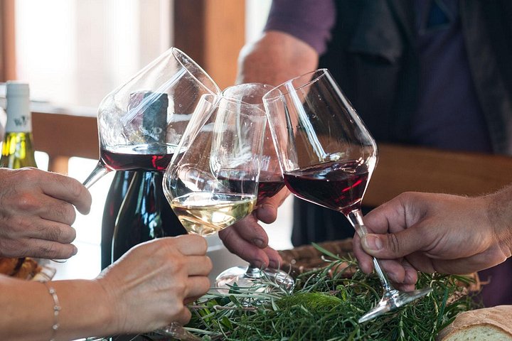 Privat vintur till vingårdar på Etna med provsmakningar och naturskön utsikt över Sicilien, foto 8 | wizardtrip
