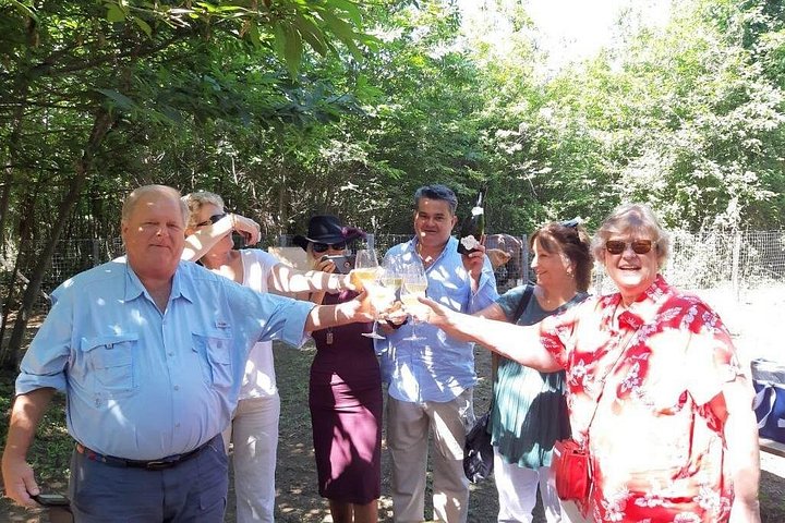 Privat vintur till vingårdar på Etna med provsmakningar och naturskön utsikt över Sicilien, foto 14 | wizardtrip