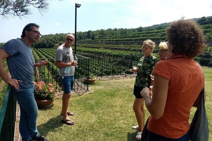Privat vintur till vingårdar på Etna med provsmakningar och naturskön utsikt över Sicilien, foto 23 | wizardtrip