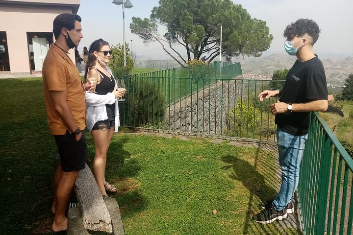Privat vintur till vingårdar på Etna med provsmakningar och naturskön utsikt över Sicilien, foto 29 | wizardtrip