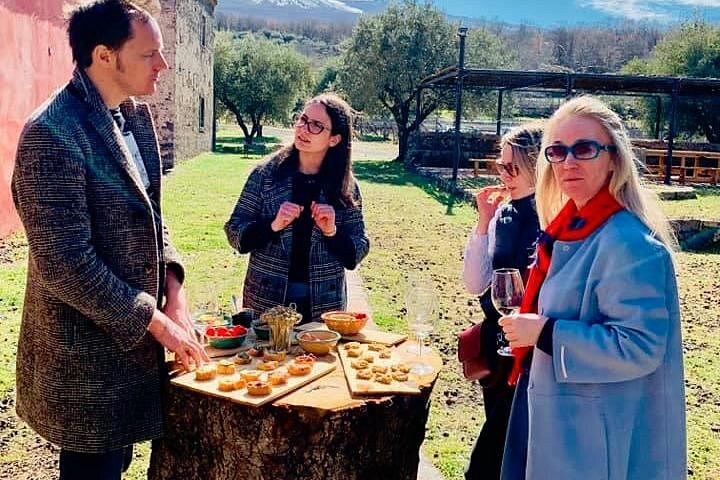 Privat vintur till vingårdar på Etna med provsmakningar och naturskön utsikt över Sicilien, foto 32 | wizardtrip