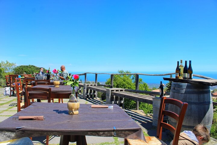 Privat vintur till vingårdar på Etna med provsmakningar och naturskön utsikt över Sicilien, foto 34 | wizardtrip