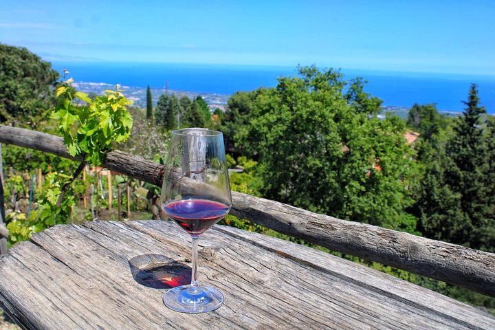 Privat vintur till vingårdar på Etna med provsmakningar och naturskön utsikt över Sicilien, foto 35 | wizardtrip