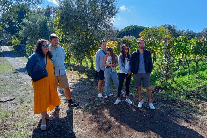 Privat vintur till vingårdar på Etna med provsmakningar och naturskön utsikt över Sicilien, foto 38 | wizardtrip
