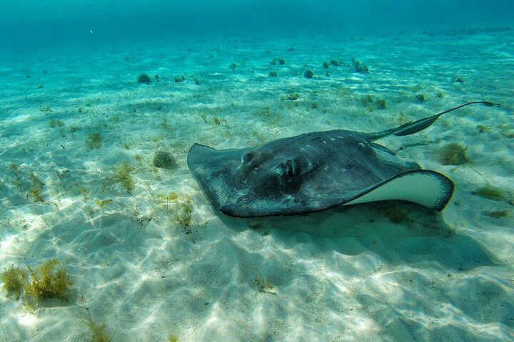 Disfruta de un tour marino de día completo en San Andrés con snorkel, música y hermosos paisajes costeros, foto 10 | wizardtrip