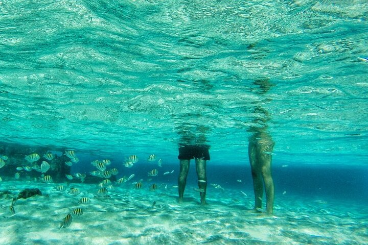 Disfruta de un tour marino de día completo en San Andrés con snorkel, música y hermosos paisajes costeros, foto 14 | wizardtrip