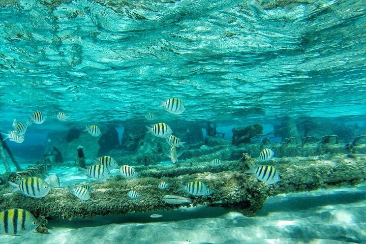 Disfruta de un tour marino de día completo en San Andrés con snorkel, música y hermosos paisajes costeros, foto 20 | wizardtrip