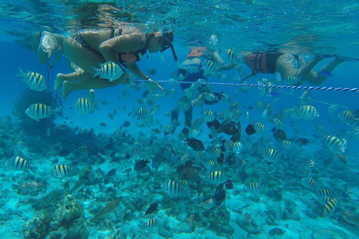 Disfruta de un tour marino de día completo en San Andrés con snorkel, música y hermosos paisajes costeros, foto 24 | wizardtrip