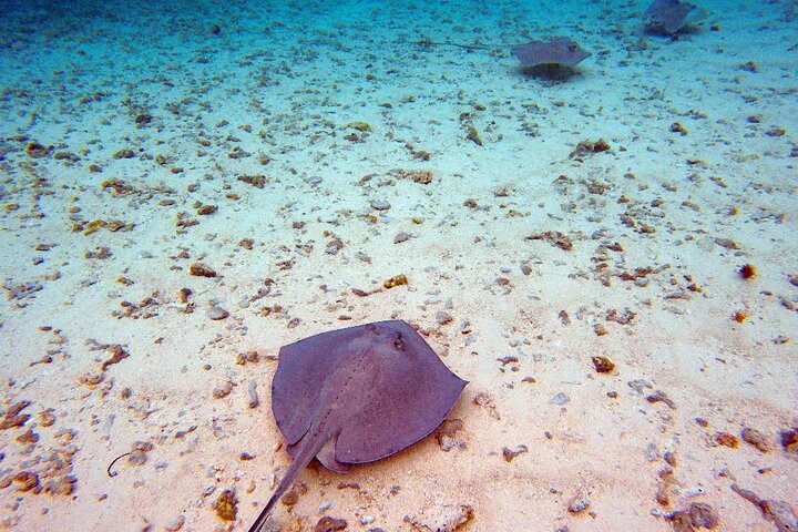 Disfruta de un tour marino de día completo en San Andrés con snorkel, música y hermosos paisajes costeros, foto 28 | wizardtrip