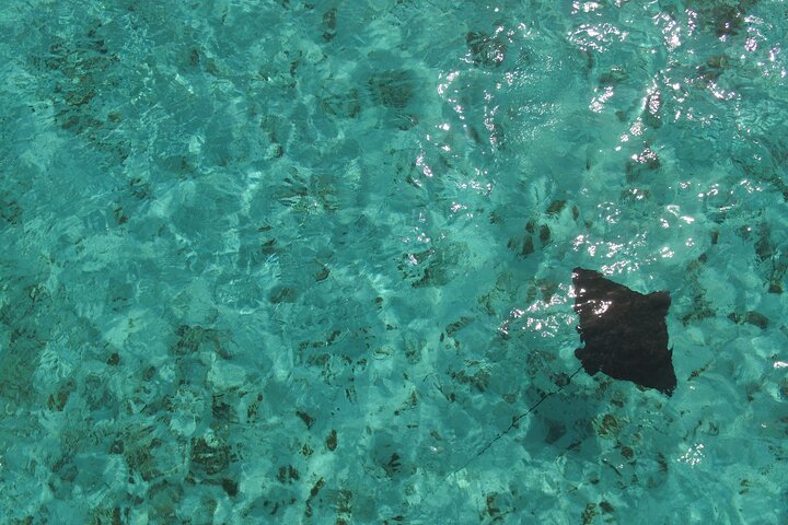 Disfruta de un tour marino de día completo en San Andrés con snorkel, música y hermosos paisajes costeros, foto 30 | wizardtrip