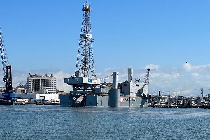 Delfine schwimmen in der Galveston Bay während einer malerischen Bootstour, Foto 6 | wizardtrip
