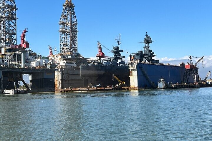 Delfine schwimmen in der Galveston Bay während einer malerischen Bootstour, Foto 8 | wizardtrip