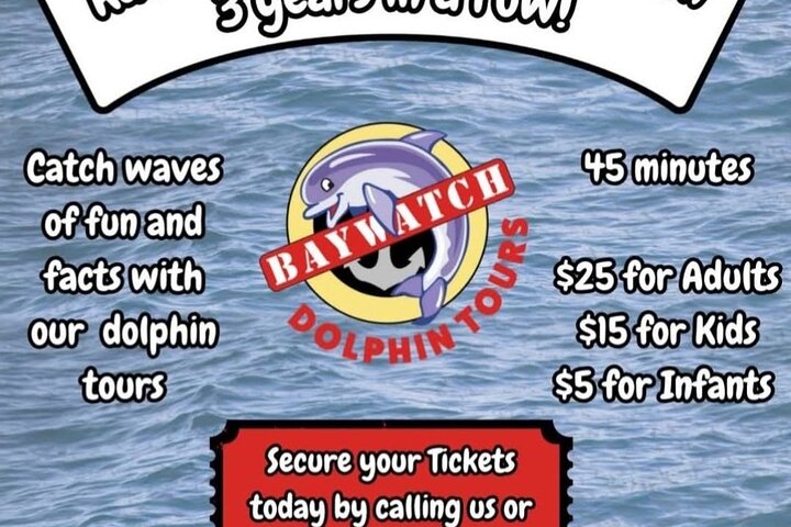Delfine schwimmen in der Galveston Bay während einer malerischen Bootstour, Foto 11 | wizardtrip