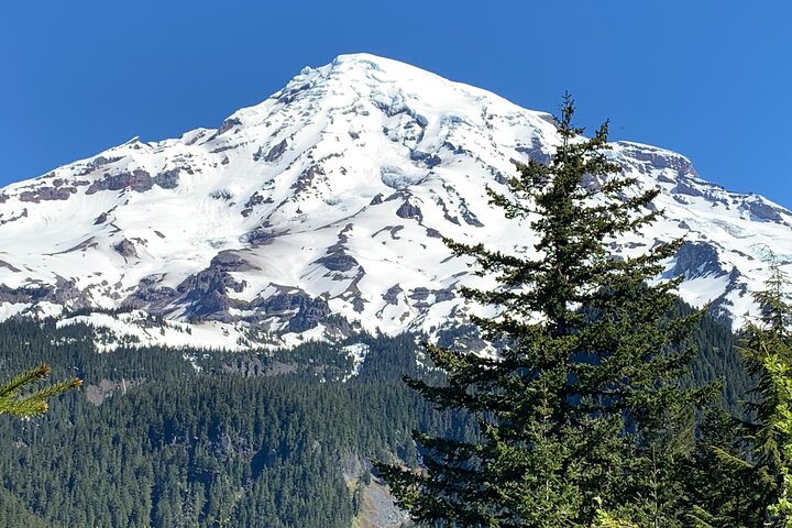 Randonnée guidée sur le Mont Rainier - forêt ancienne, cascades et vues sur glacier | wizardtrip
