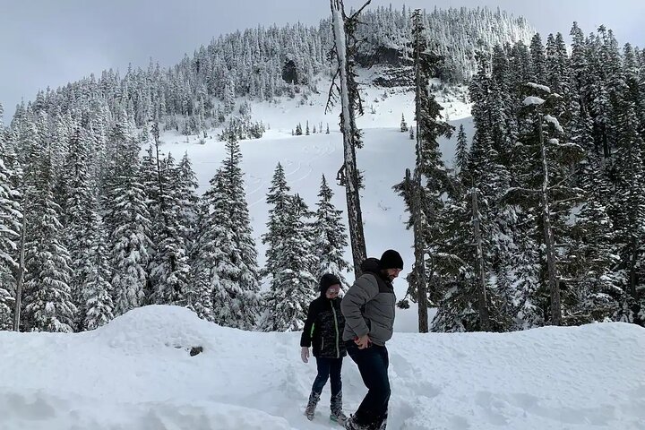 Guided hike in Mt. Rainier National Park, showcasing glaciers, waterfalls, and old-growth forests near Seattle, photo 10 | wizardtrip