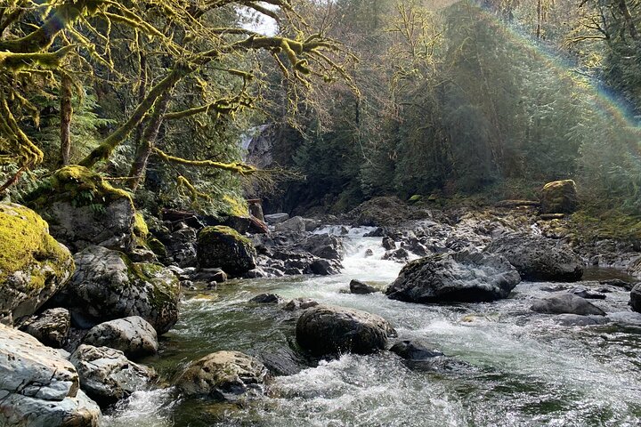Randonnée guidée vers les chutes de Snoqualmie et les chutes jumelles au départ de Seattle, avec forêts et cascades, photo 6 | wizardtrip